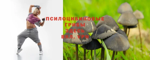 твердый Верея