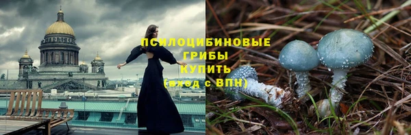 твердый Верея